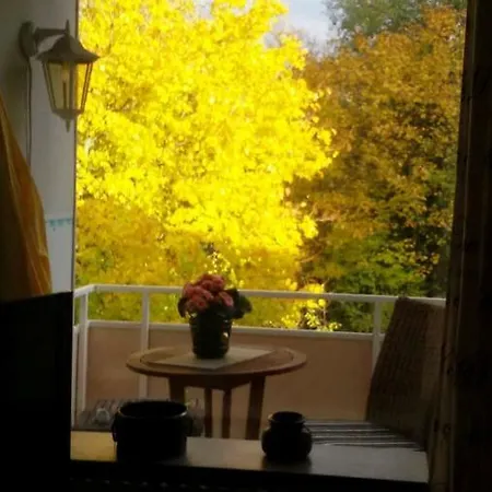 Lägenhet Ferienwohnung Winkler Bad Harzburg